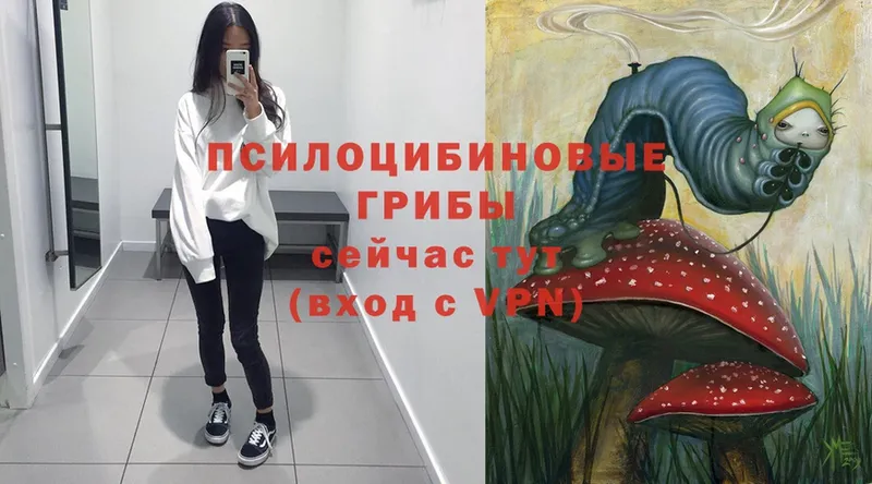 Галлюциногенные грибы Psilocybe  ссылка на мегу ссылка  Нарткала  что такое наркотик 